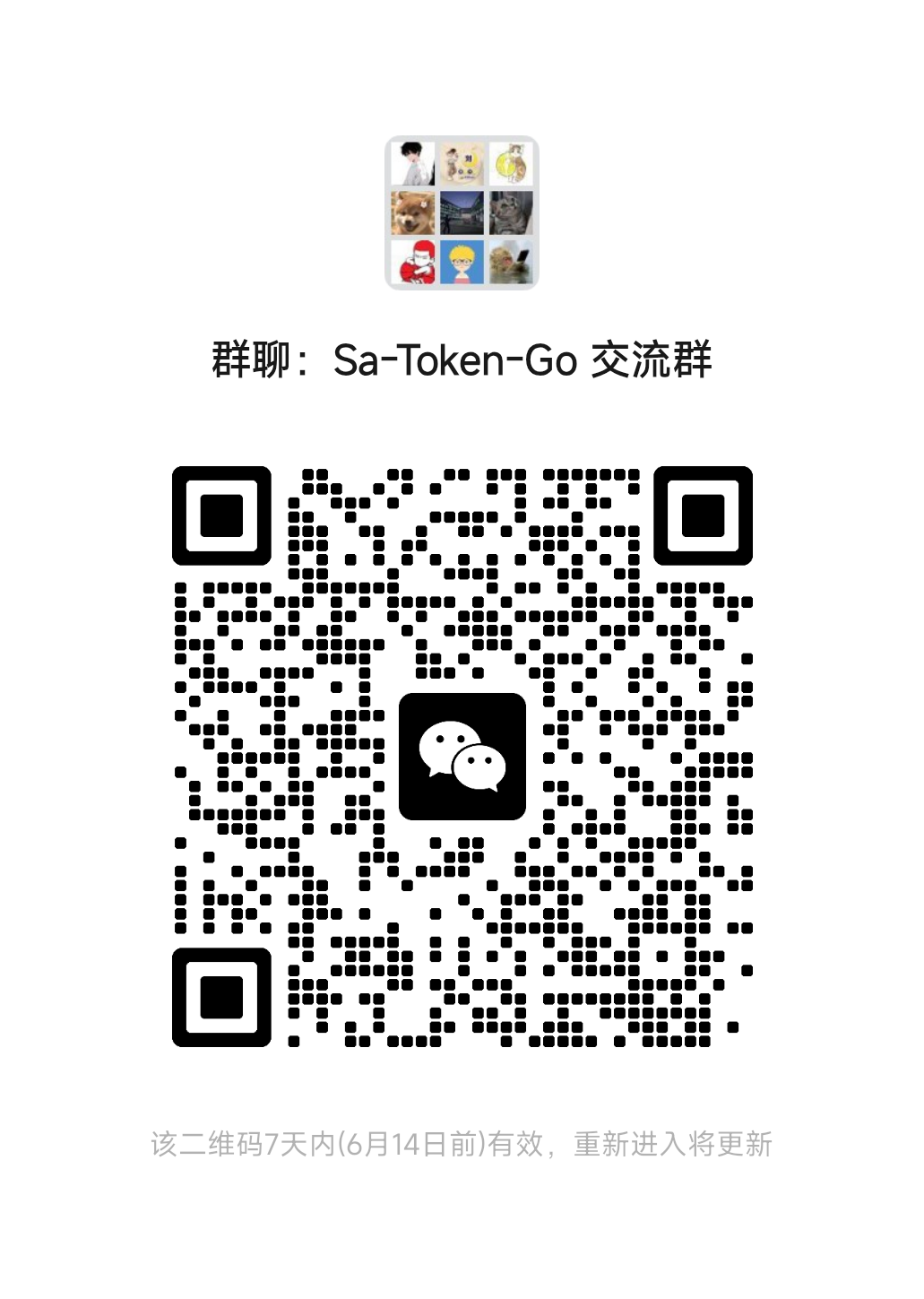sa-token-go 微信交流群